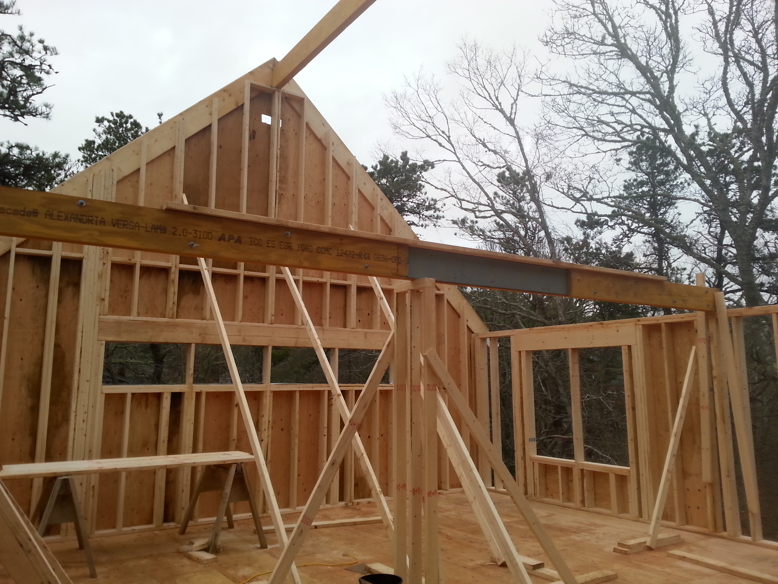 Framing and roof structure